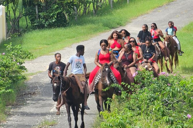 Horseback Riding at Hawksbill Beach in Five islands Antigua - What the guides add to the outing