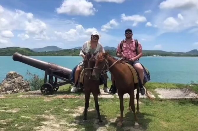Horseback Riding at Hawksbill Beach in Five islands Antigua - Horse care and the small stable setting