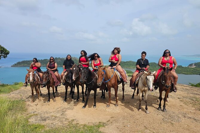 Horseback Riding at Hawksbill Beach in Five islands Antigua - Meeting the horses and getting comfortable