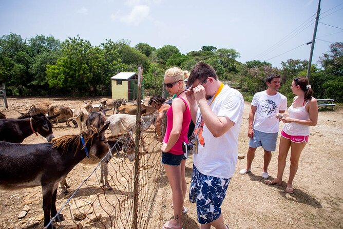 Island Safari Discovery - Stories, folklore, and the national parks center