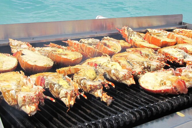 Sail and Snorkel at Cades Reef - What the $110 price really covers