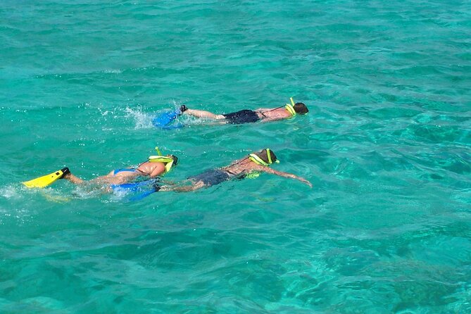 Sail and Snorkel at Cades Reef - Who will enjoy this Antigua boat day