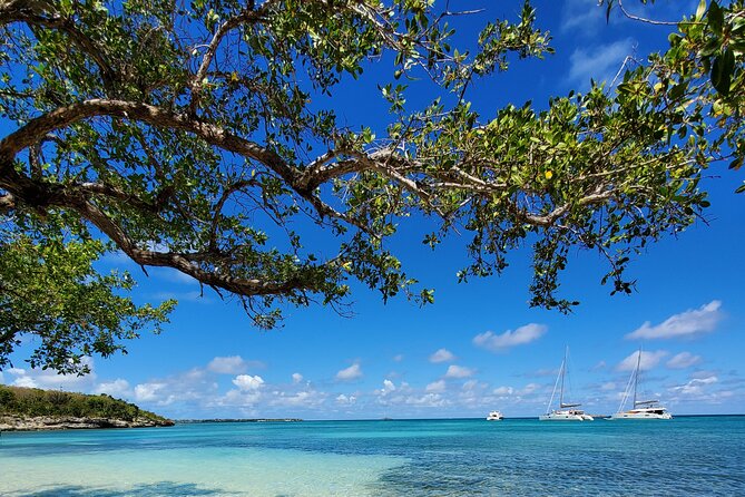 Snorkel - Lobster Lunch Cruise to Bird Island and Paradise Reef - How much value do you get for $185?