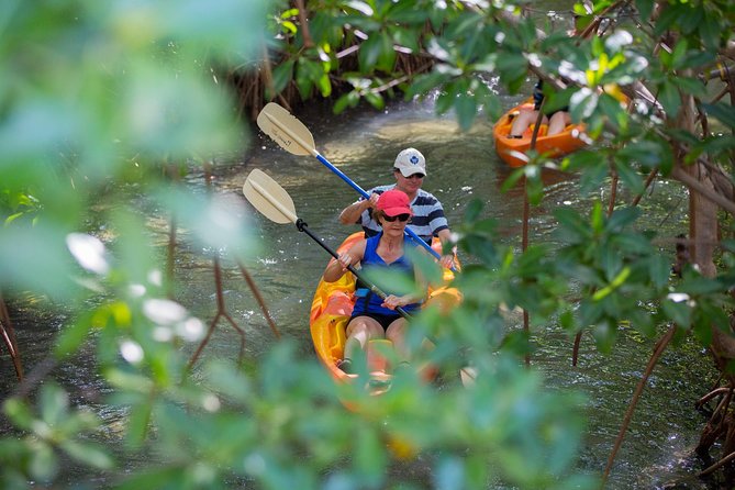 SoCoHo Eco Half Day - Mangrove Kayak & Reef Snorkeling - Snacks, rum punch, and a simple beach break