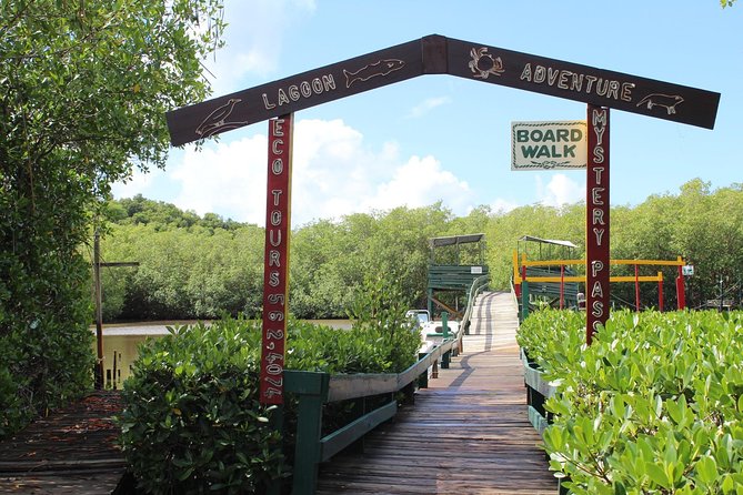 SoCoHo Eco Half Day - Mangrove Kayak & Reef Snorkeling - What the $135 price buys you