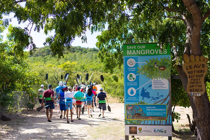 SoCoHo Eco Half Day - Mangrove Kayak & Reef Snorkeling - Who will enjoy this Antigua tour most