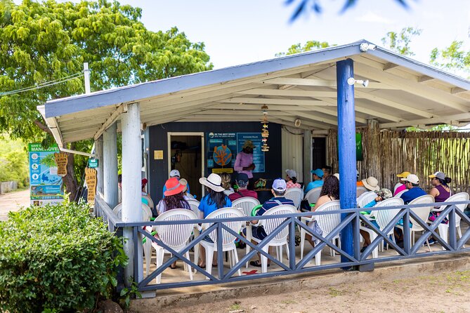 SoCoHo Eco Half Day - Mangrove Kayak & Reef Snorkeling - Practical planning for a smoother morning