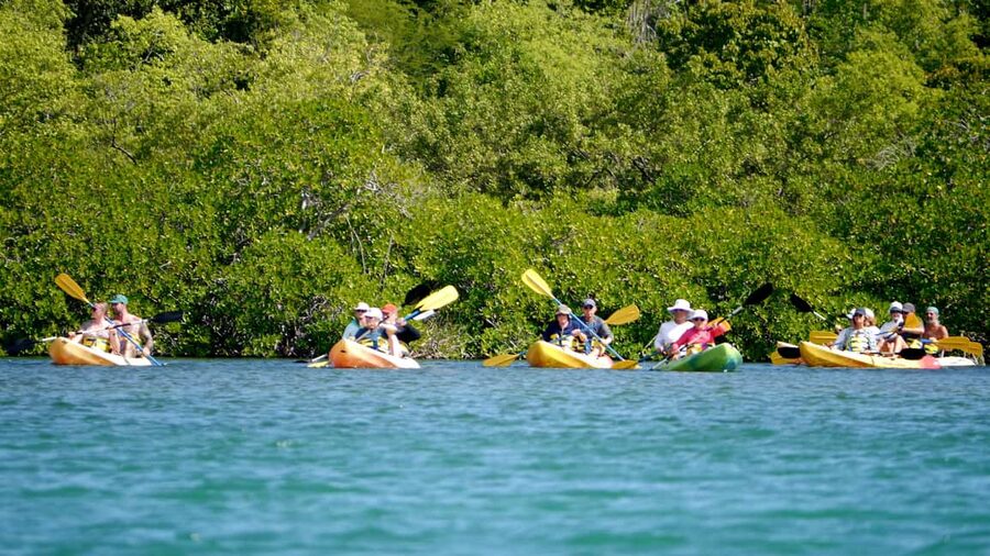 St. John's, Antigua Kayak, Snorkeling, & Beach Bird Island - Why this Antigua outing works so well