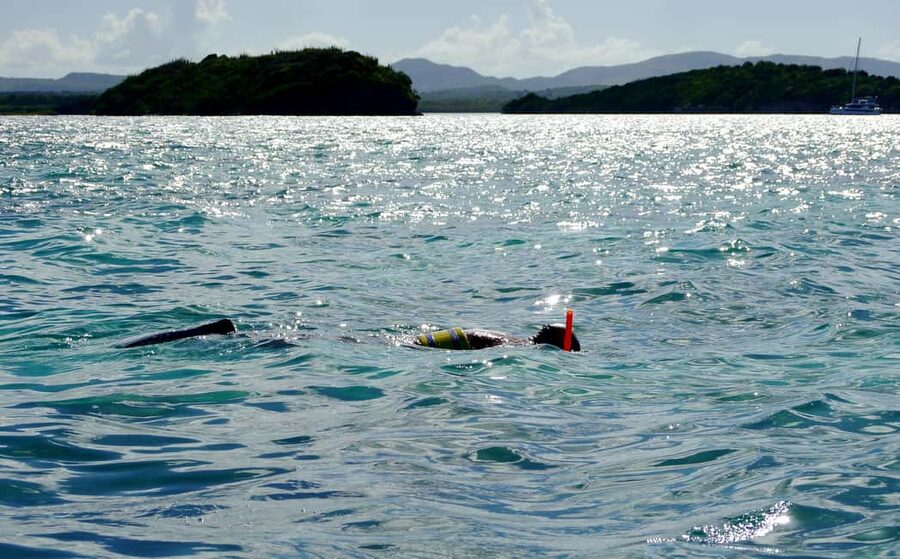 St. John's, Antigua Kayak, Snorkeling, & Beach Bird Island - Paddling among Antigua’s red mangroves