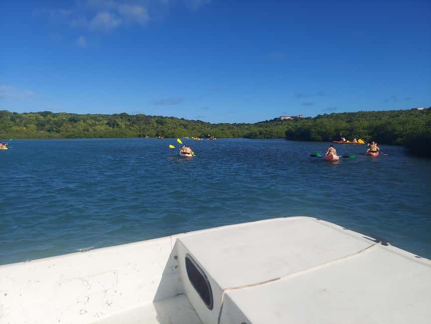 St. John's, Antigua Kayak, Snorkeling, & Beach Bird Island - The value of Captain Crystal and the guide team