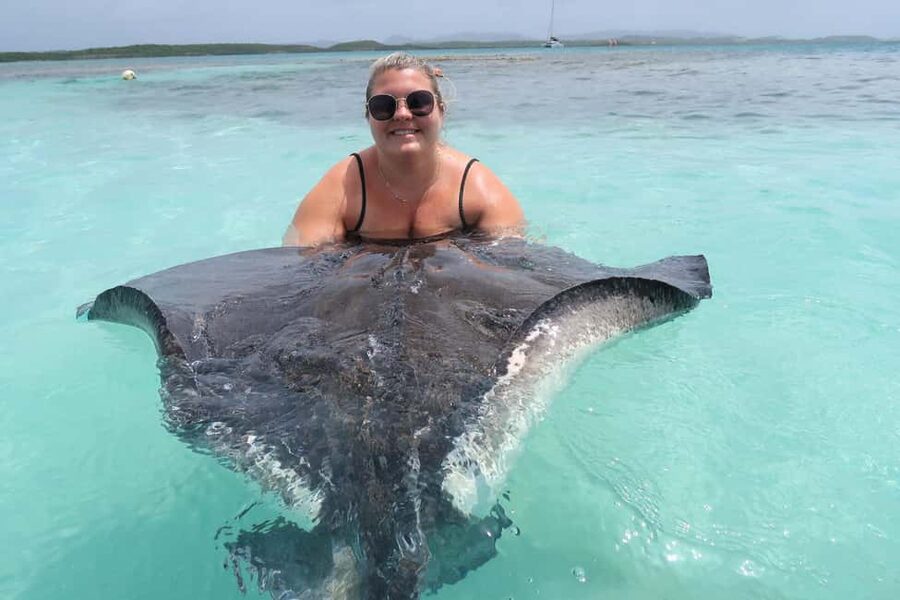 St. John's; Combo Laviscount Island & Swimming with Stingray - Why this Antigua combo works