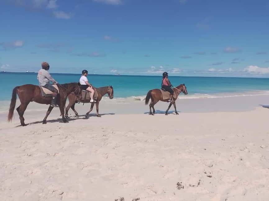 St. Johns: Horseback Riding Bareback Swim, &Fort James Beach - Fort James Beach sets the pace