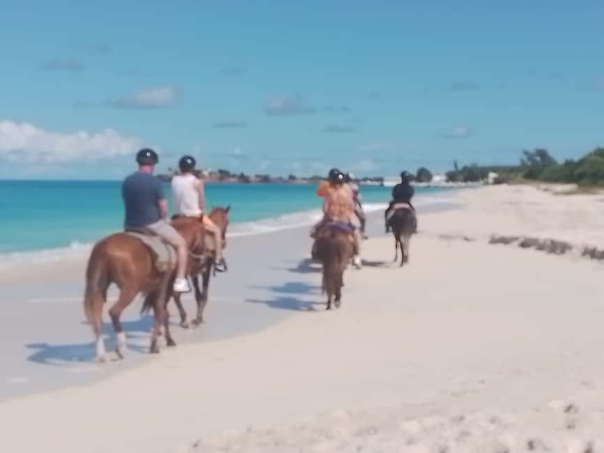 St. Johns: Horseback Riding Bareback Swim, &Fort James Beach - Practical tips for a smoother ride