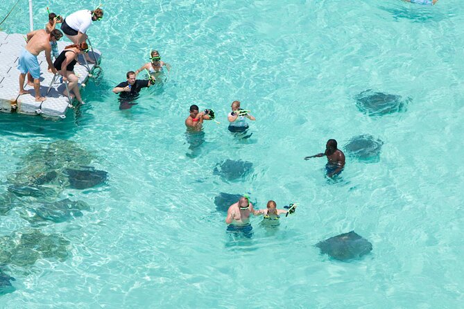 Stingray City - Key points before you book