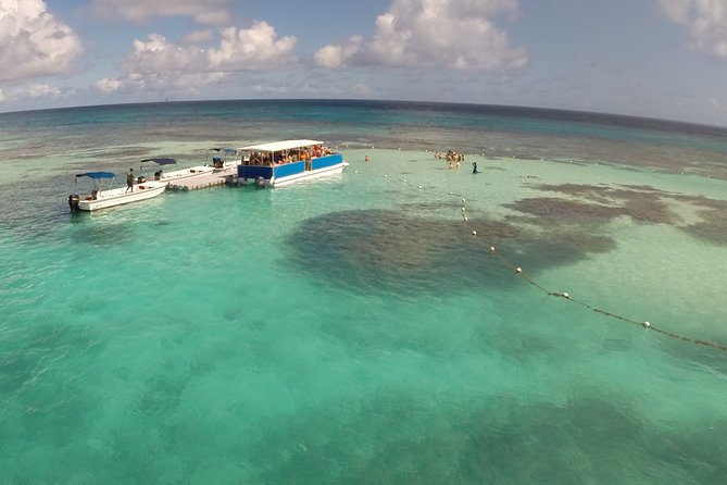 Stingray City - What Stingray City Antigua is really like