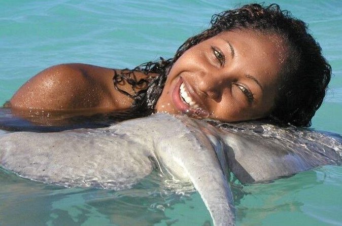 Stingray City - Coral, starfish, and tropical fish