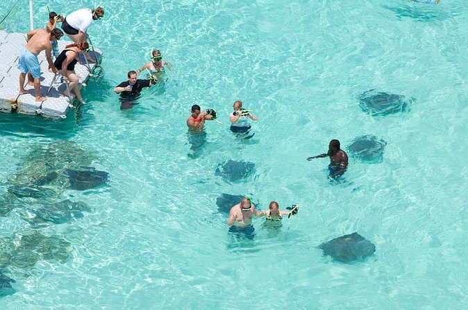Stingray City - How long will the experience take?