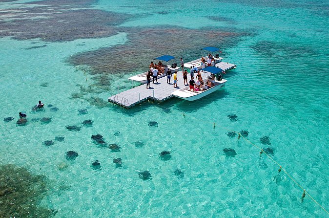 Stingray City - Photos, add-ons, and small extras