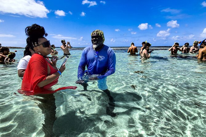 Stingray City Antigua for all the ages - ROUND TRIP INCLUDED - Is $139.90 good value?