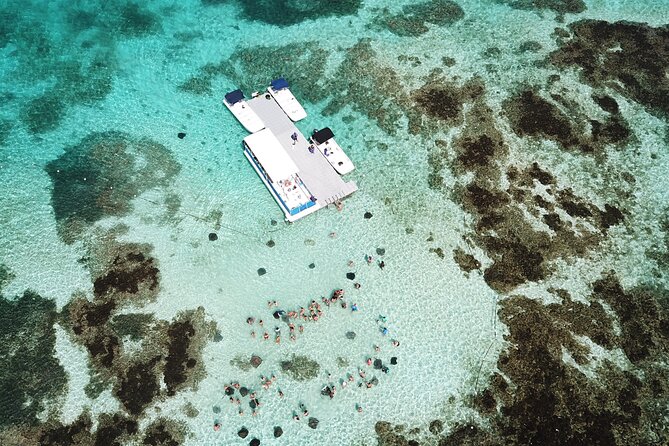 Stingray City Antigua for all the ages - ROUND TRIP INCLUDED - Who will enjoy this experience most?