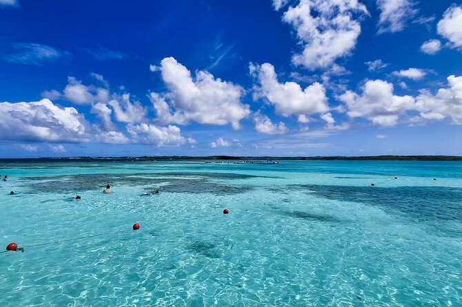 Stingray City Experience Antigua - Cruise Ship Passengers Edition - The timing you need on a cruise day