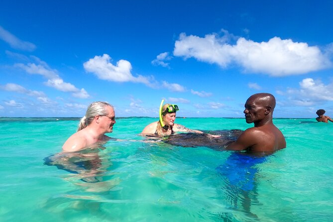 Stingray City Experience Antigua - Cruise Ship Passengers Edition - Who will enjoy this experience most