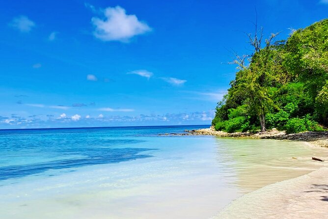 Stingray City experience, Devils Bridge and Long Bay Beach - Key Points to Know Before Booking