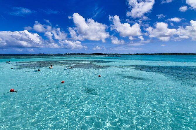 Stingray City experience, Devils Bridge and Long Bay Beach - Timing, Transport, and What to Bring