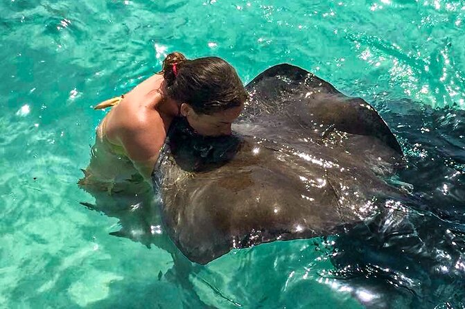Stingray City experience, Devils Bridge and Long Bay Beach - Stingray City: A Shallow Sandbar Full of Life