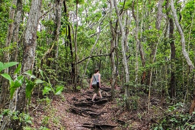 Trek Tours Hiking Experience in Antigua - Why the guides matter
