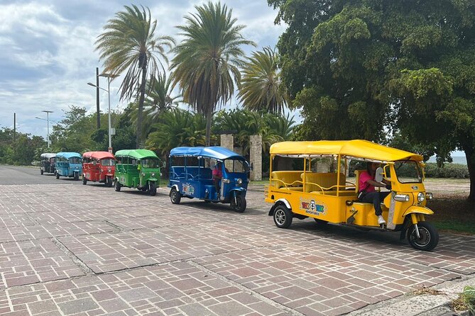 Tuk-Tuk Adventures Rainforest and Beach Hopping Tour - Why this tuk-tuk tour works well in Antigua