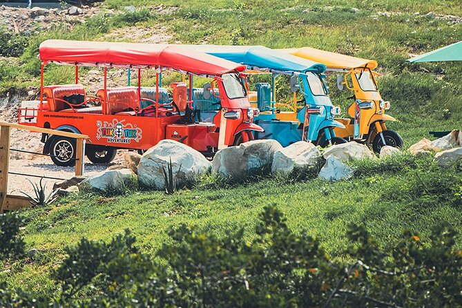 Tuk-Tuk Adventures Rainforest and Beach Hopping Tour - Fresh fruit, local vendors, and small island details