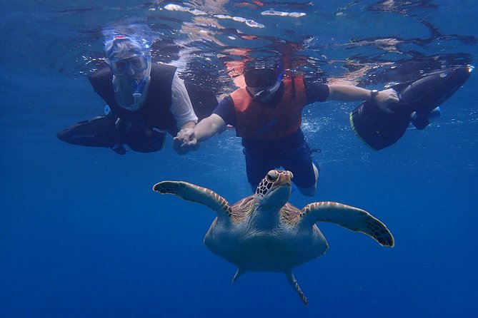 Turtle Beach Power Snorkeling Adventure - Around the headland to the Pillars of Hercules